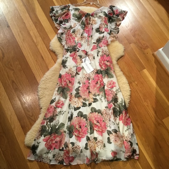 Divine Heritage floral Cottagecore style midi dress - Picture 2 of 14